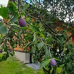 Pod Skiełkiem * Lukowica