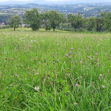 Pod Skielkiem 別荘 *