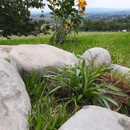 Pod Skielkiem 別荘 *