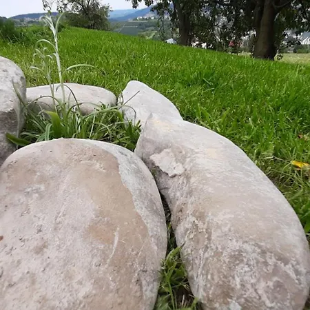 Pod Skielkiem 別荘