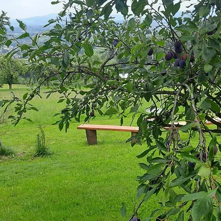 Pod Skiełkiem