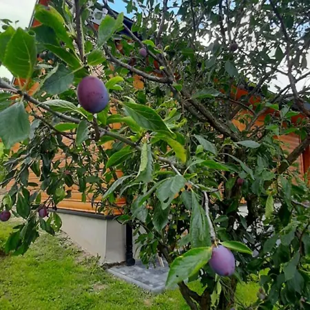 Pod Skielkiem * Lukowica