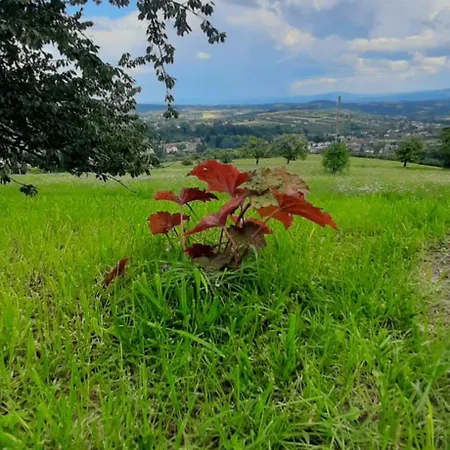 Pod Skielkiem * Lukowica