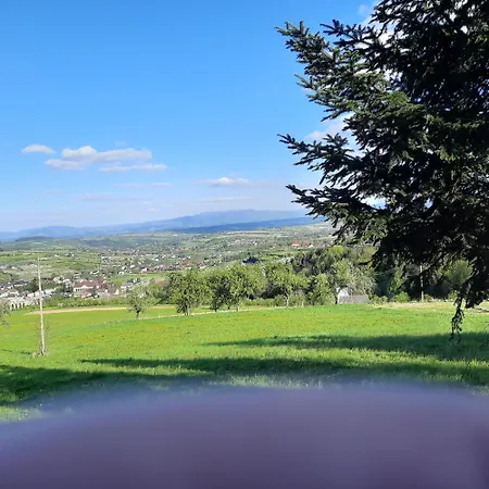 Pod Skielkiem 別荘 *