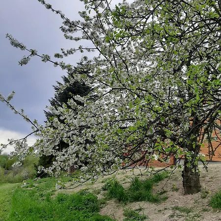 別荘 Pod Skielkiem *