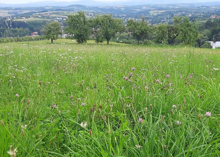 Pod Skielkiem Vakantiehuis *