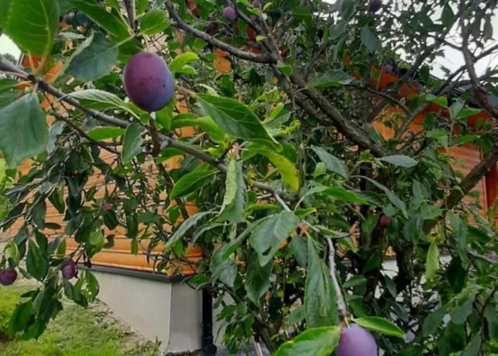 Pod Skielkiem * Lukowica