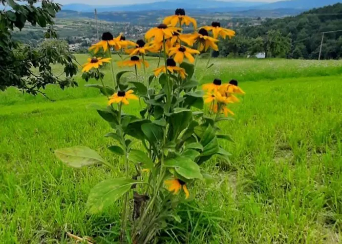 Pod Skielkiem Vakantiehuis Lukowica