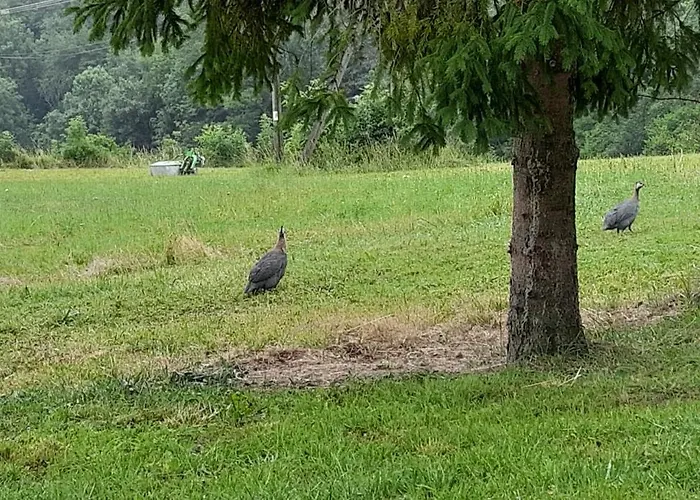 Vakantiehuis Pod Skielkiem