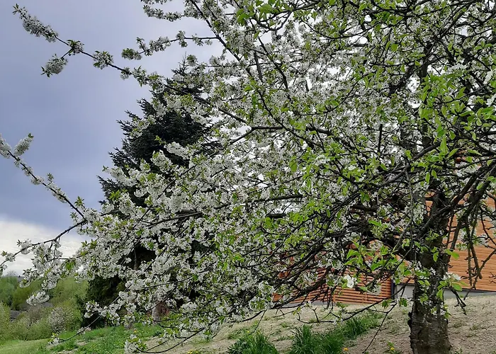 Vakantiehuis Pod Skielkiem *